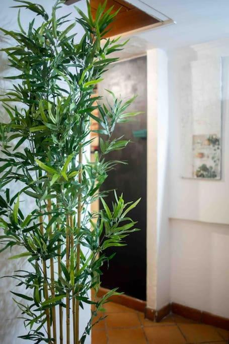 Apartament Via Dei Cestari Loft Rzym Zewnętrze zdjęcie